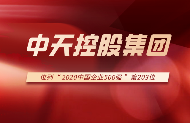 Ebpay集团列2020中国企业500强第203位！