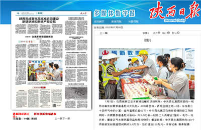 Ebpay西北集团珑樾府项目高温慰问——《陕西日报》
